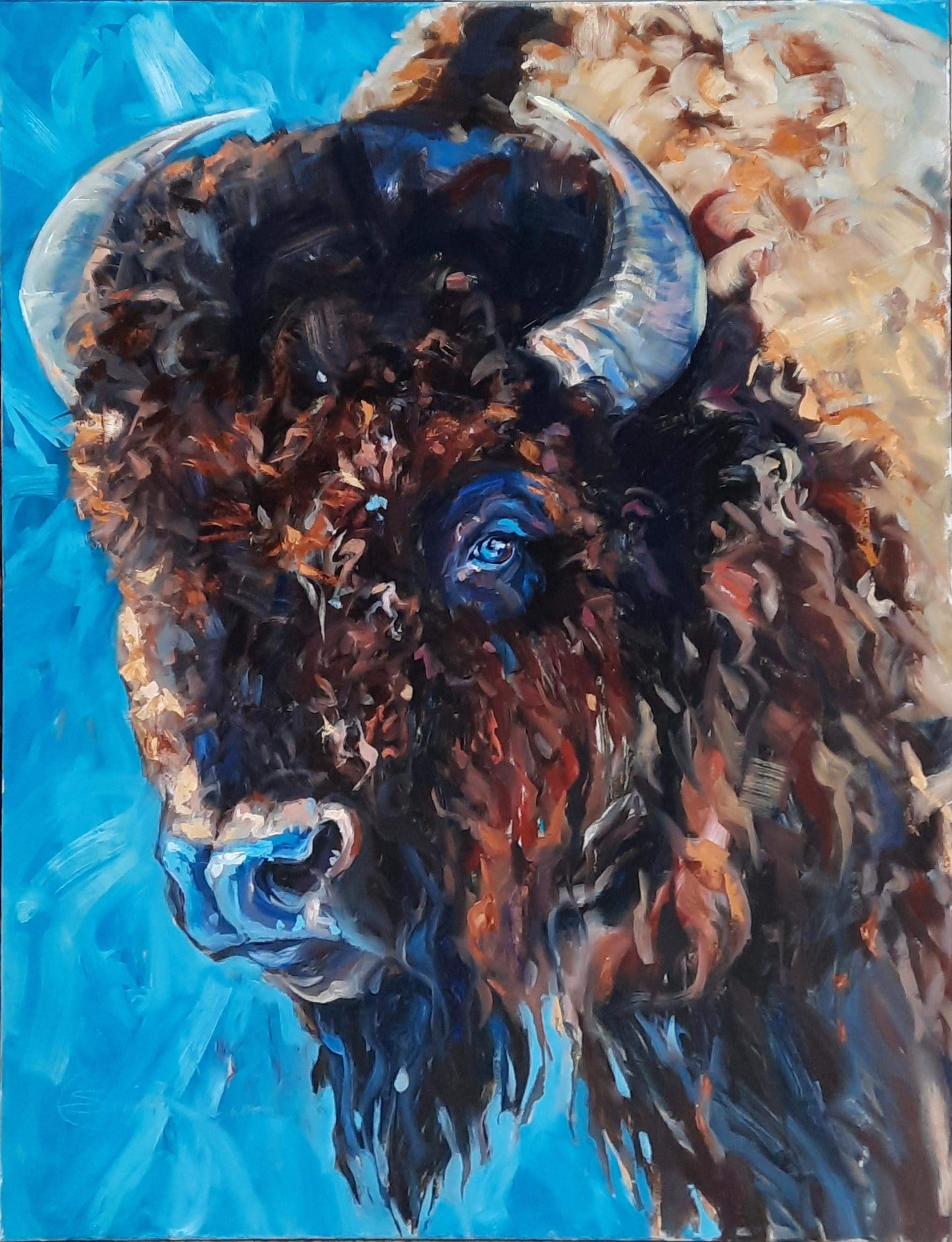 Electric Bison - Sonja Caywood