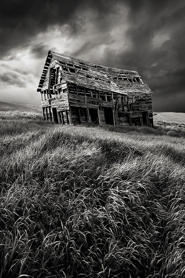 Weathered - Chris Johannsen