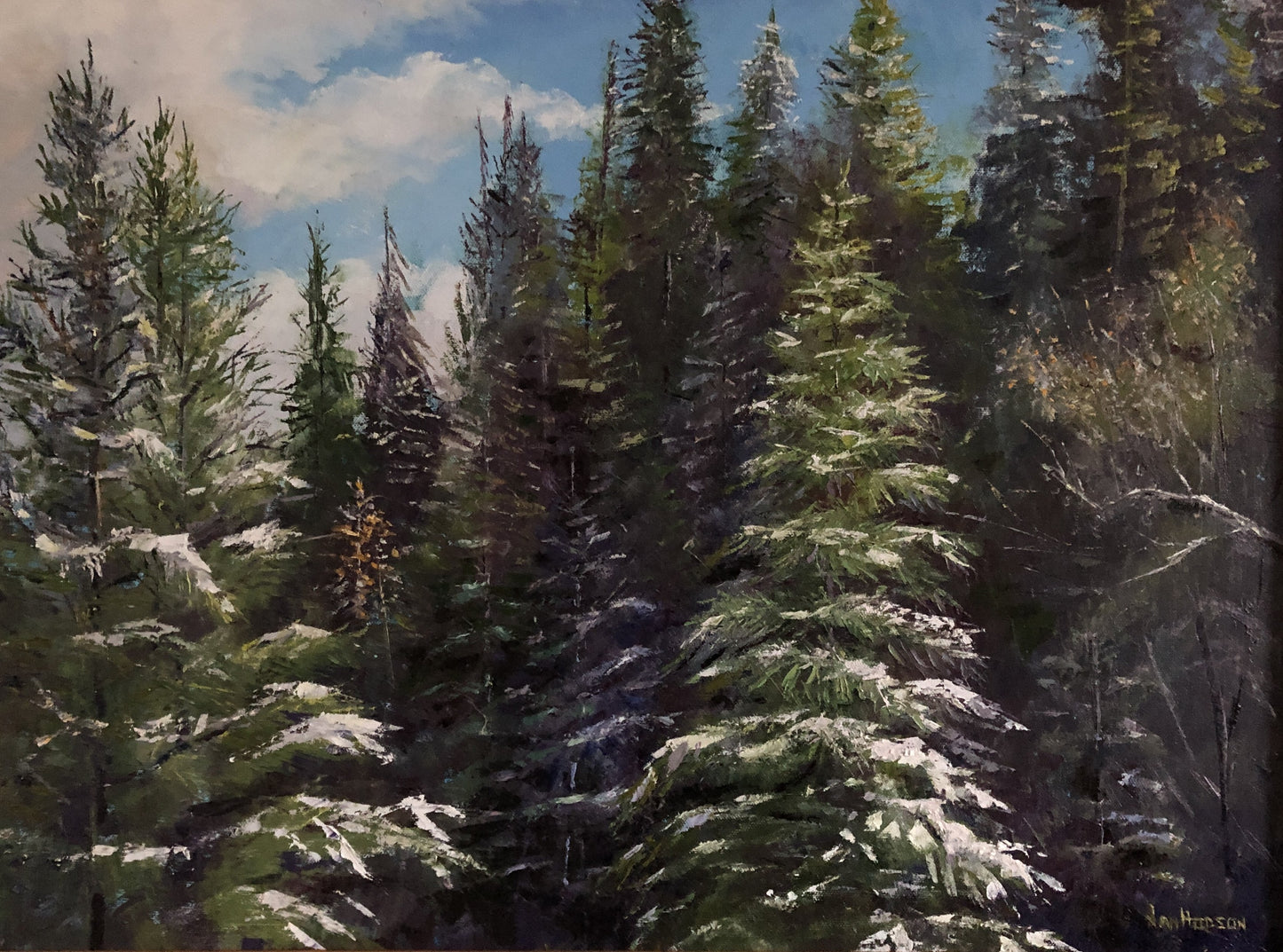 High Country Wilderness - Jan Hodson