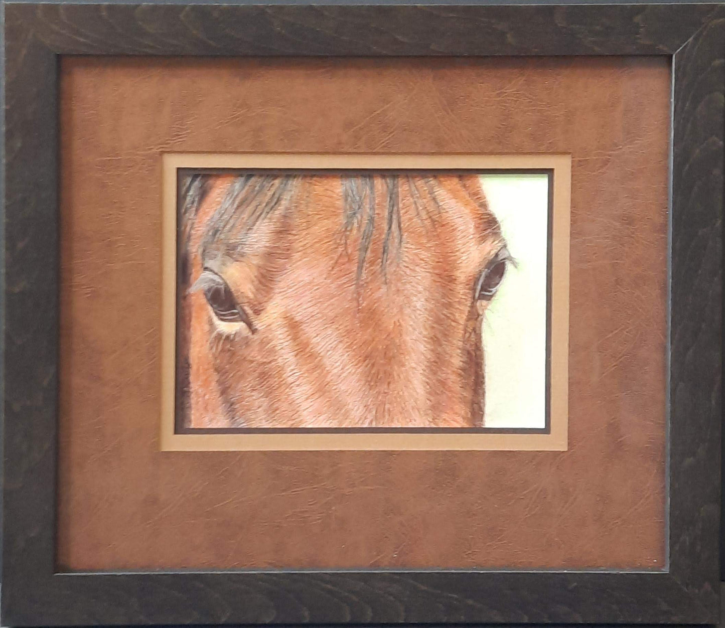 Horse Eyes - Jan Raney