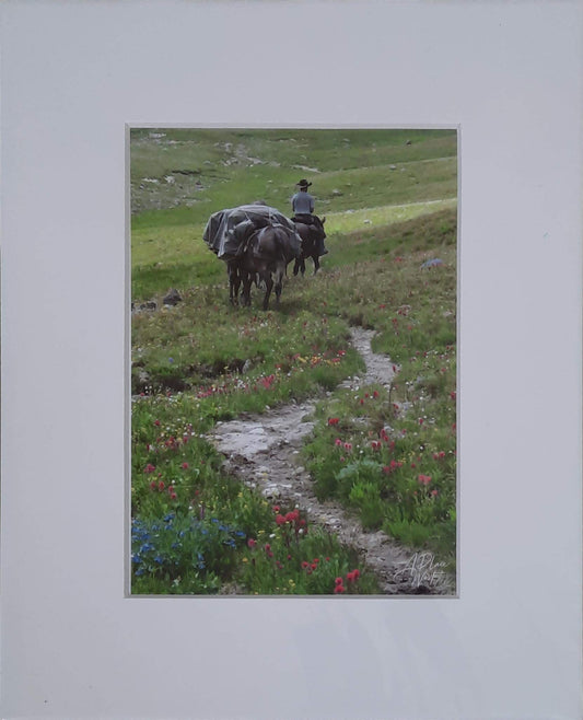 Capturing the Wild West - Expressions Art Gallery & Framing LLC