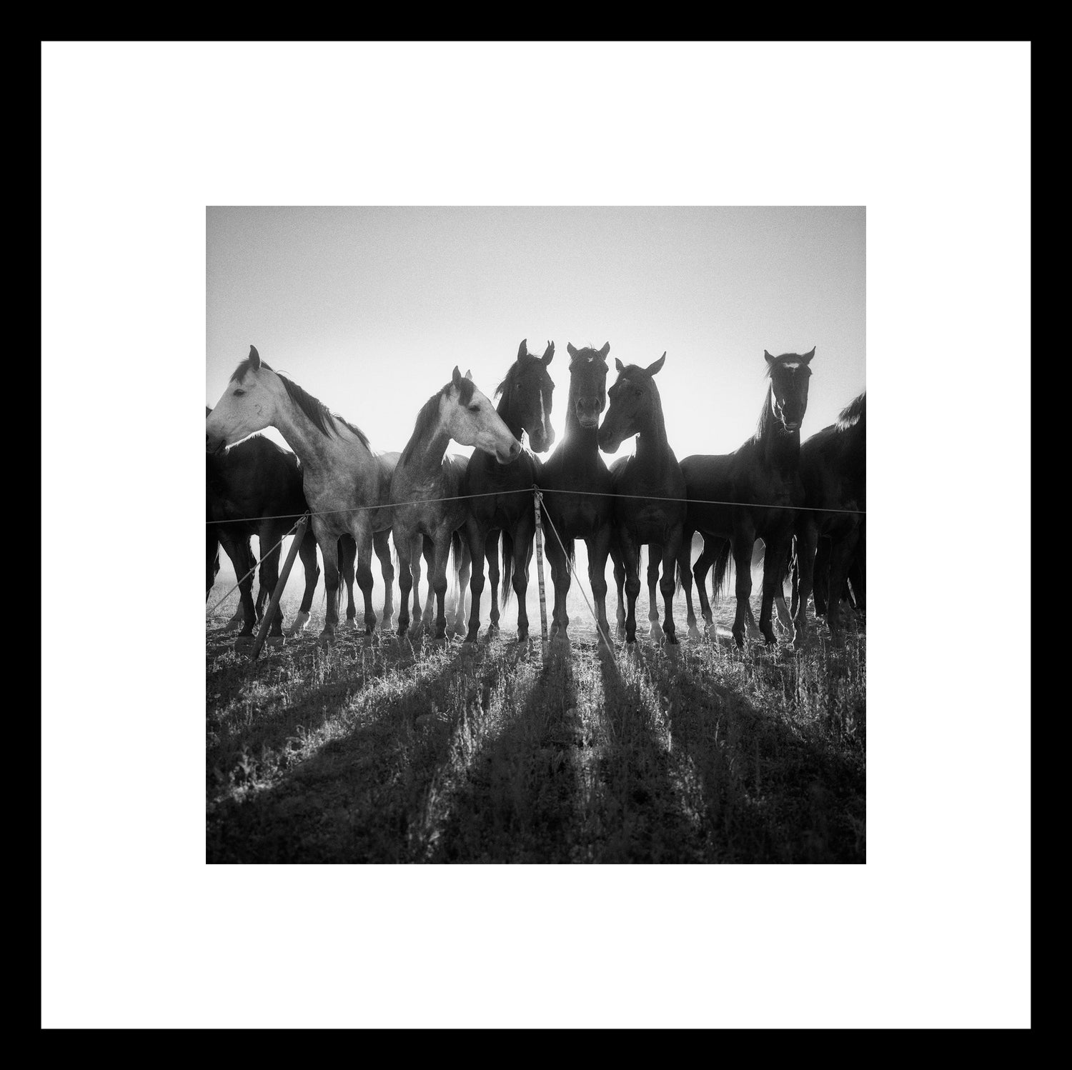 Adam Jahiel - Expressions Art Gallery & Framing LLC