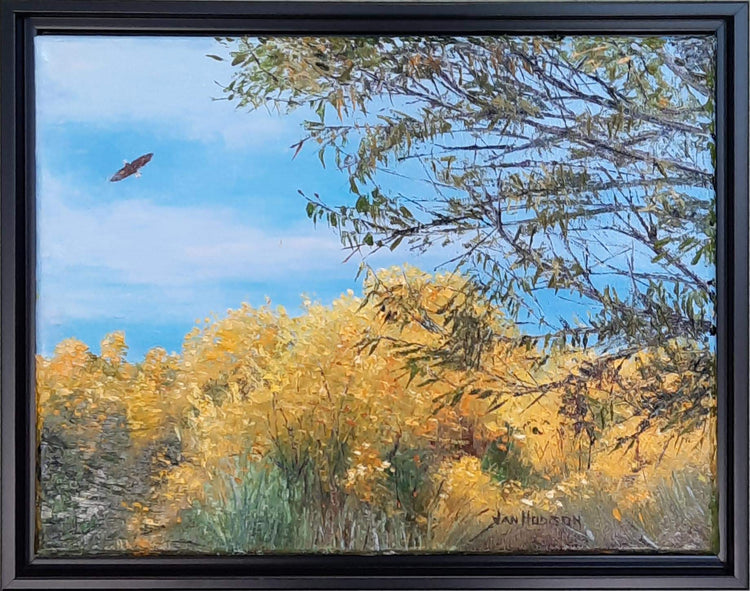 Jan Hodson - Expressions Art Gallery & Framing LLC