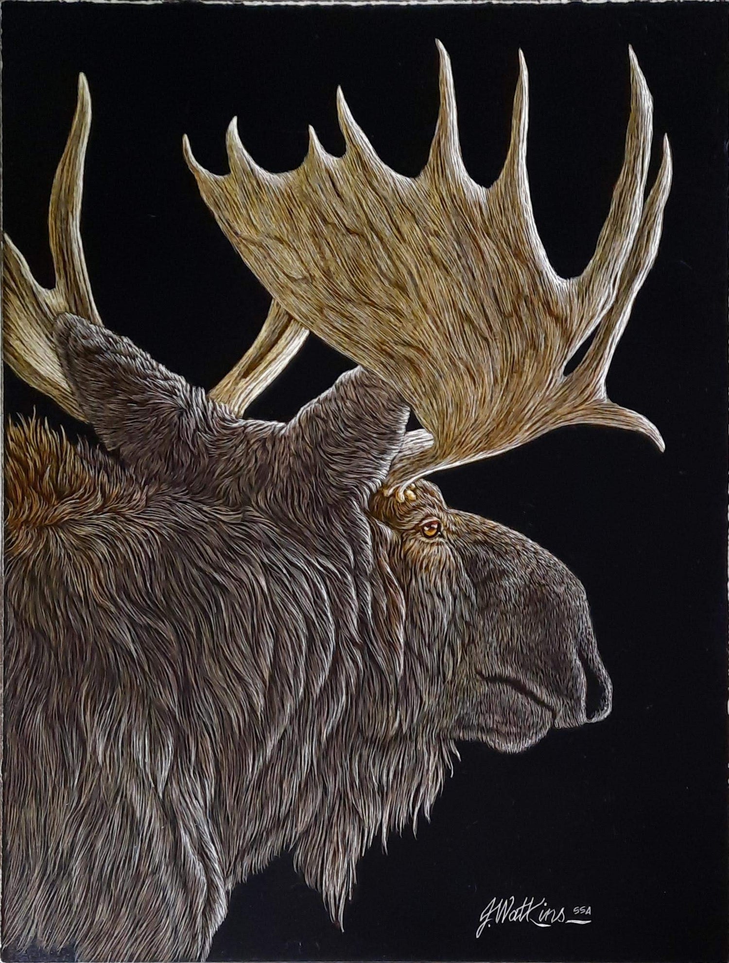 Joe Watkins - Expressions Art Gallery & Framing LLC