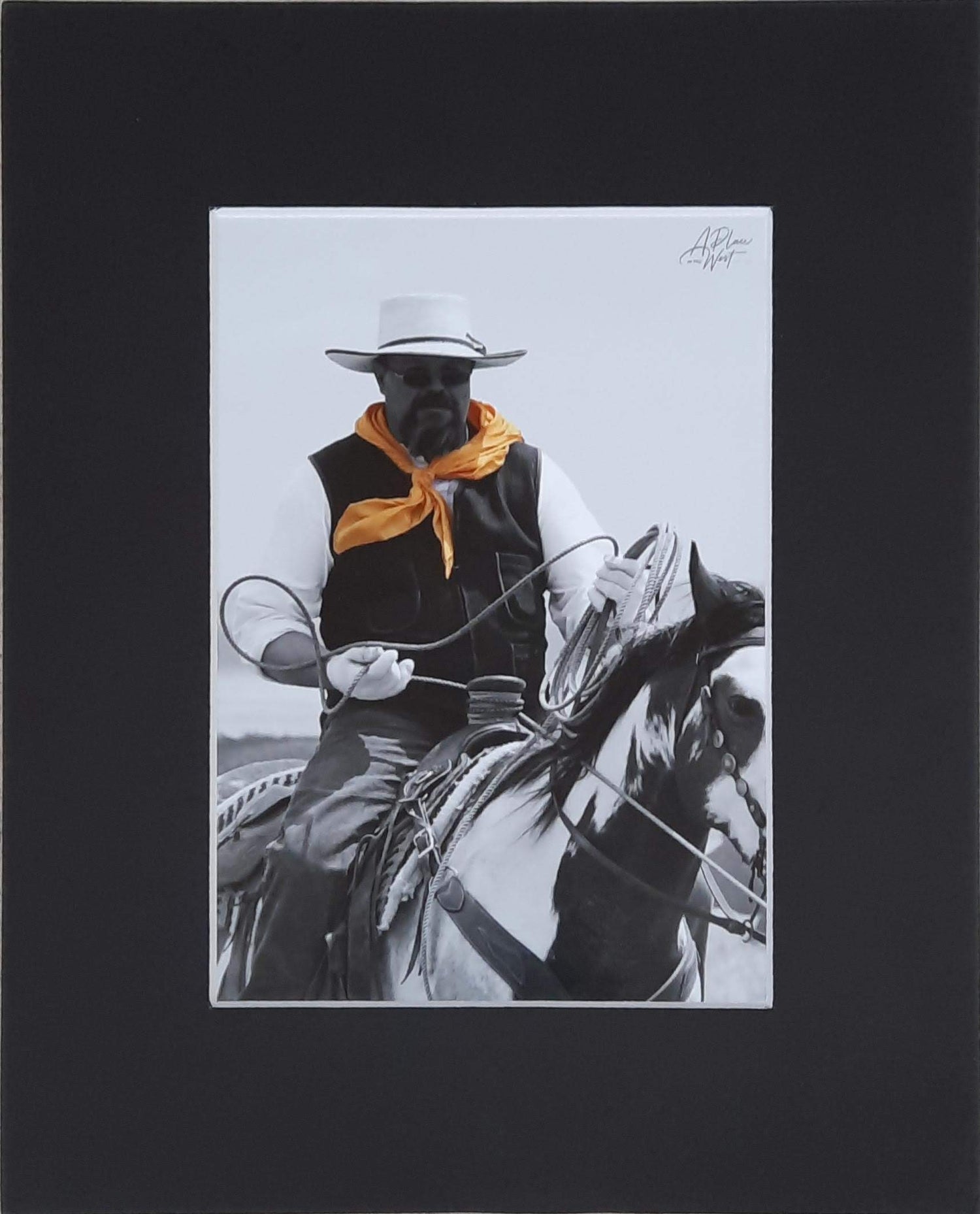 Linda Richardson - Expressions Art Gallery & Framing LLC