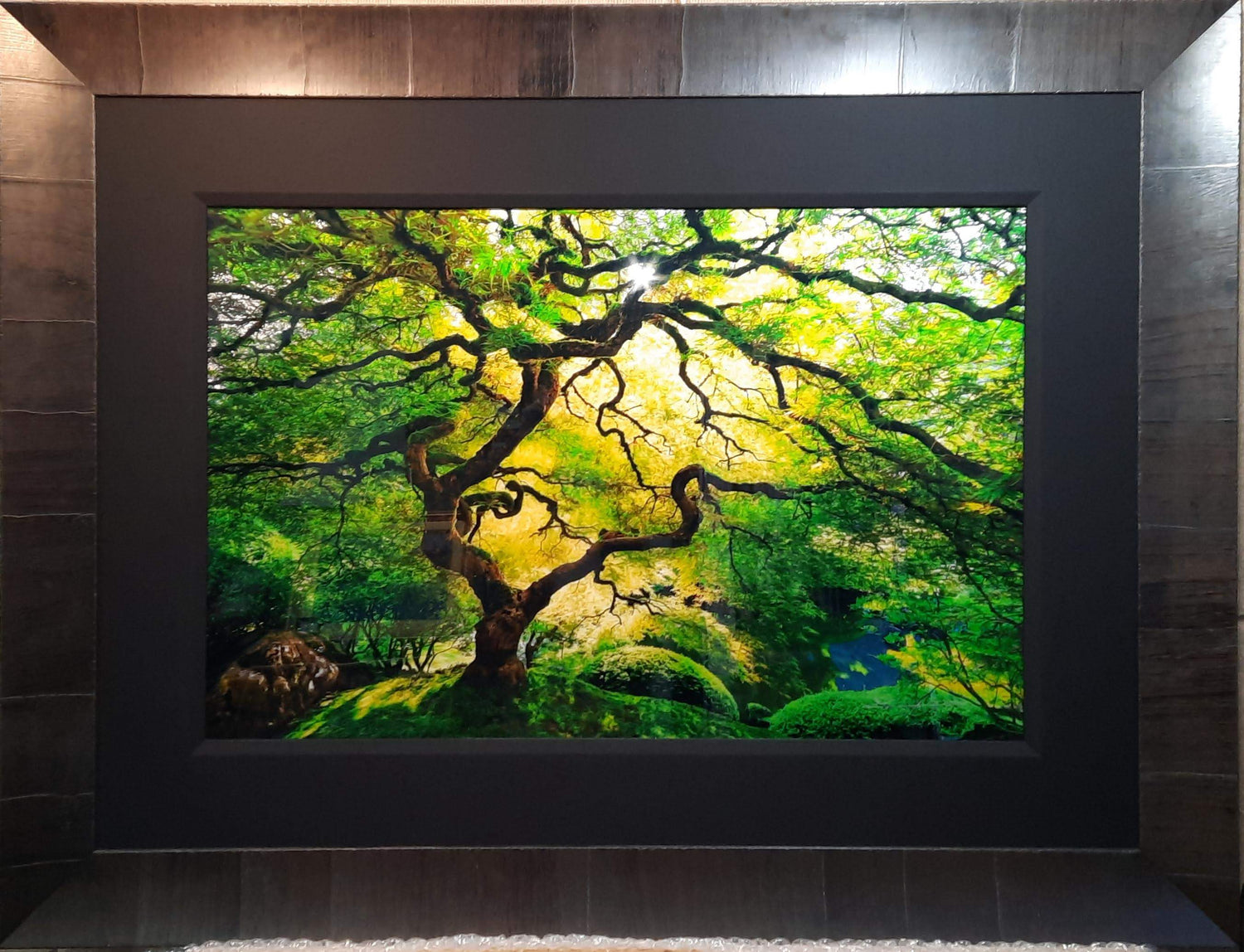 Secondary Art - Expressions Art Gallery & Framing LLC
