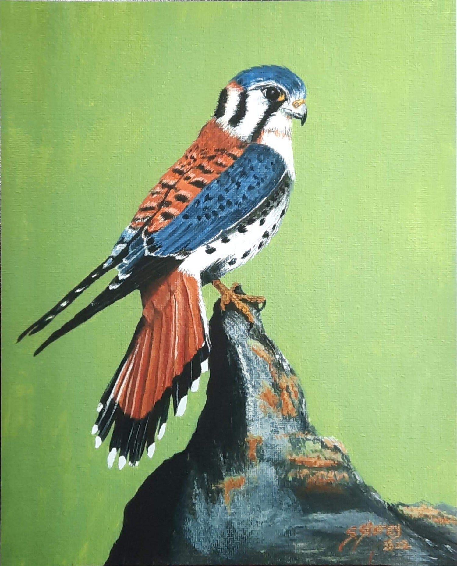 Susan Storey - Expressions Art Gallery & Framing LLC