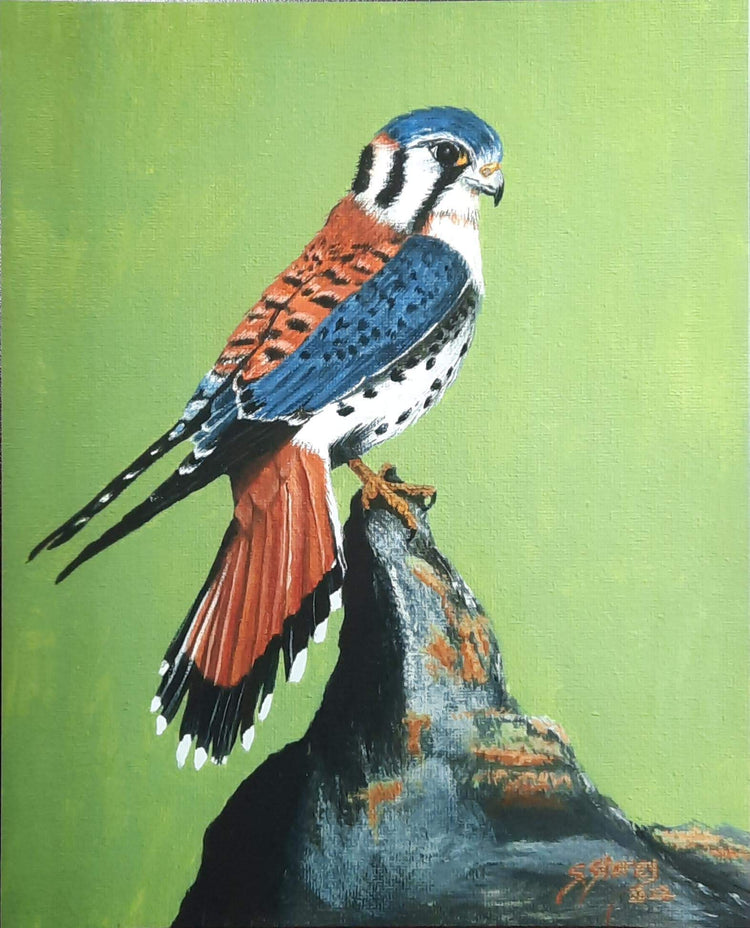 Susan Storey - Expressions Art Gallery & Framing LLC