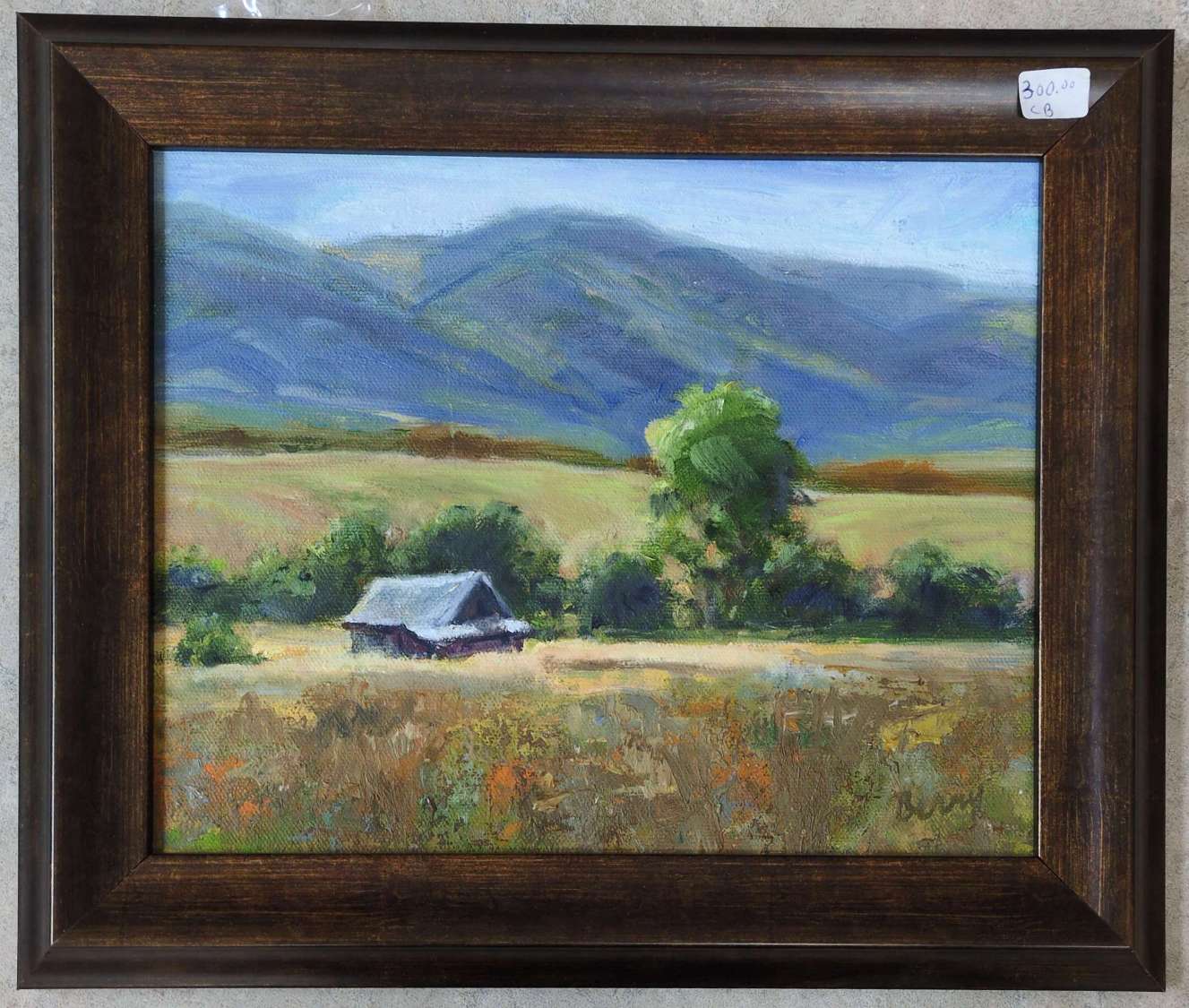 Barn in a Meadow - Carol Berry
