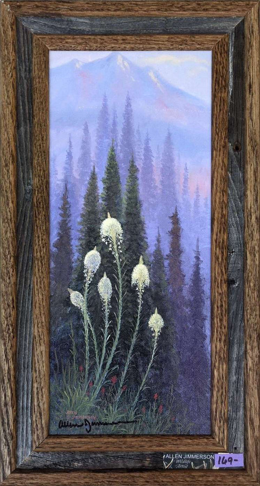 Beargrass - Allen Jimmerson