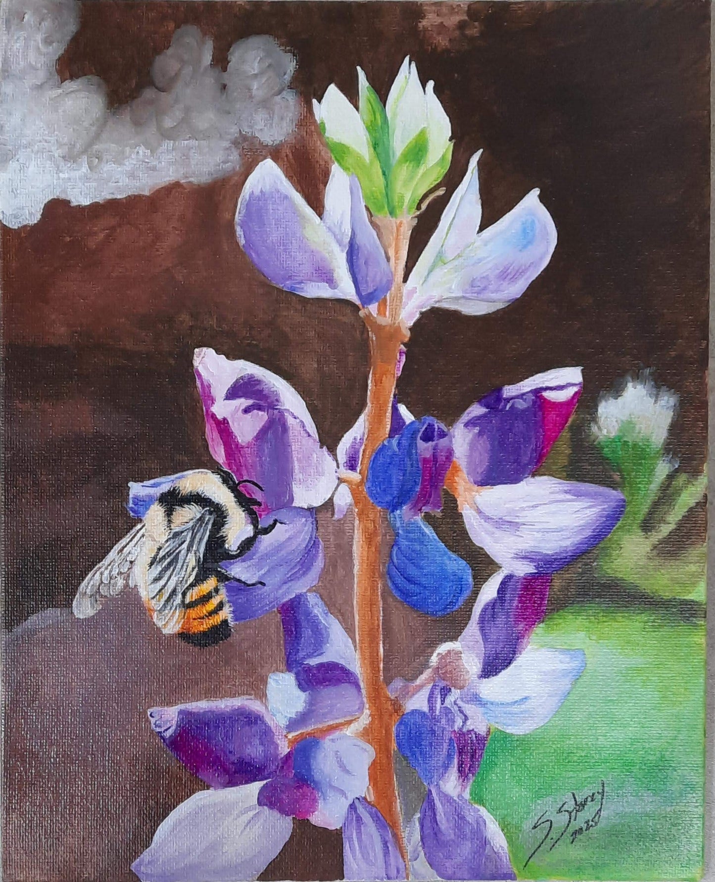 Bumble on Lupine - Susan Storey