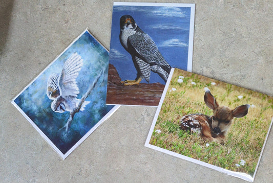Cards - Sue - Susan Storey