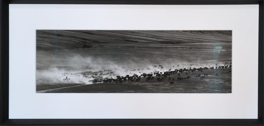 Cattle Drive - Adam Jahiel