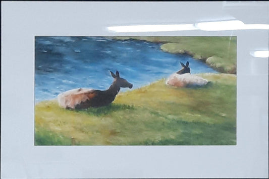 Elk Repose - Linda Hartman