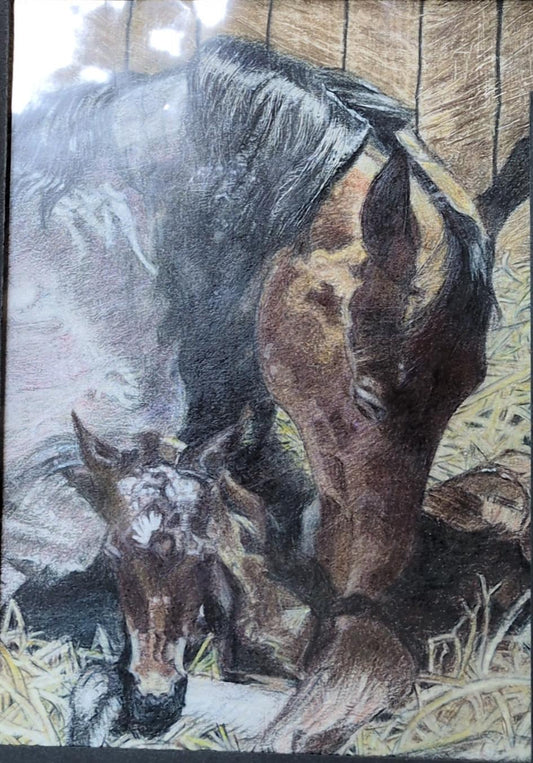 Mother's Love - Jan Raney