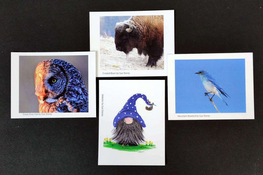 Post Cards - Susan Storey