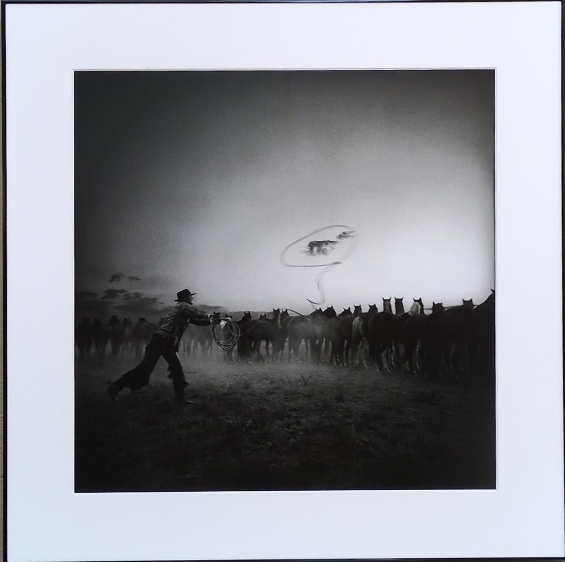 Roping a Cloud - Expressions Art Gallery & Framing LLC