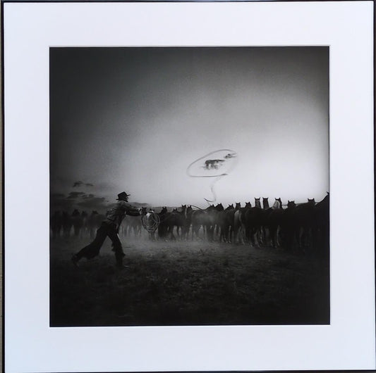 Roping a Cloud - Expressions Art Gallery & Framing LLC
