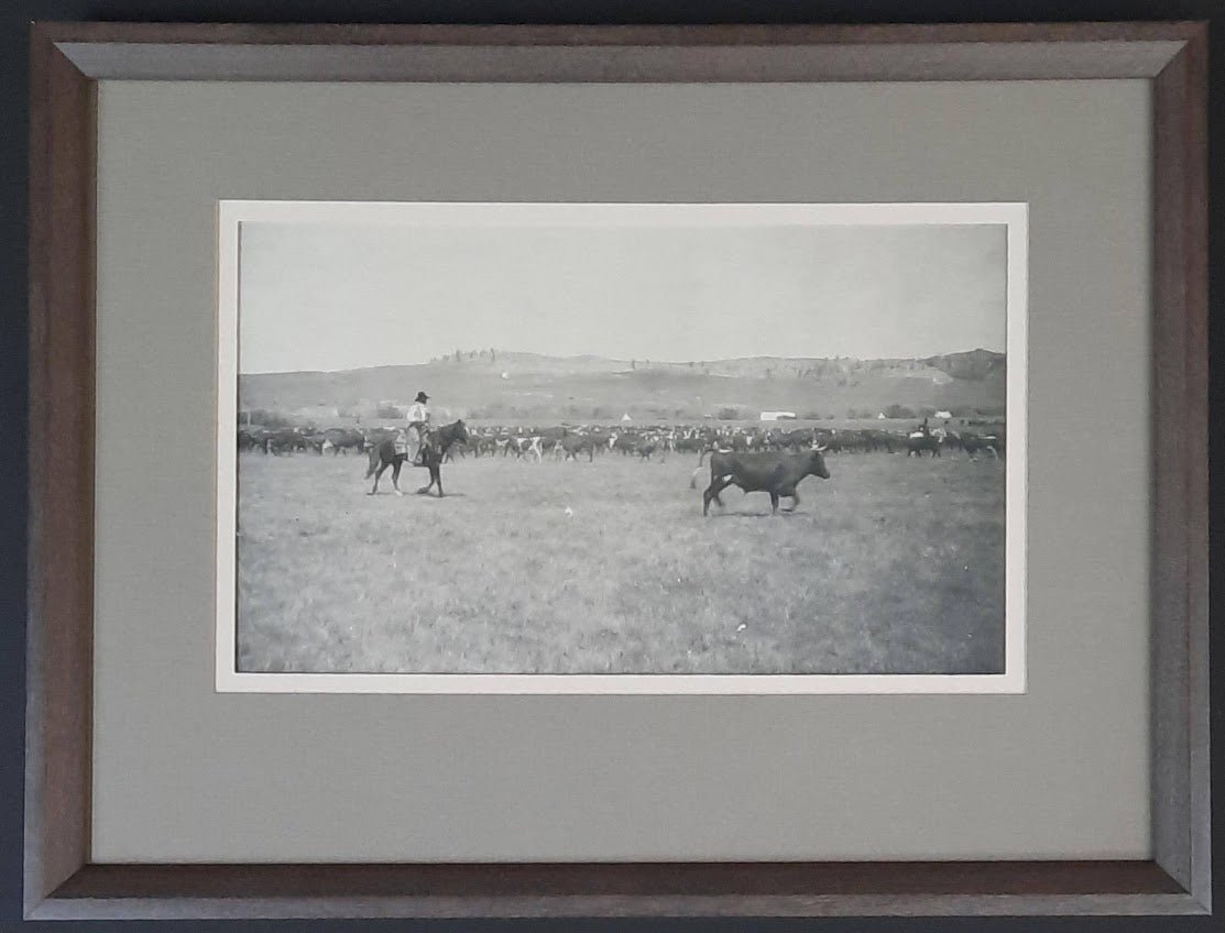 Rounding Up Cattle - Cowboy Cutting Steer - Elsa Spears