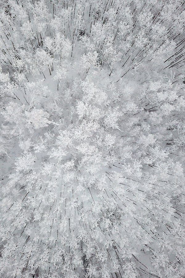 Sugar Coated - Chris Johannsen