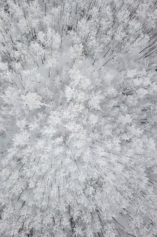 Sugar Coated - Chris Johannsen