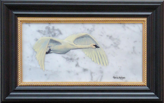 Trumpeter Swan Flight - Rosie Ratigan