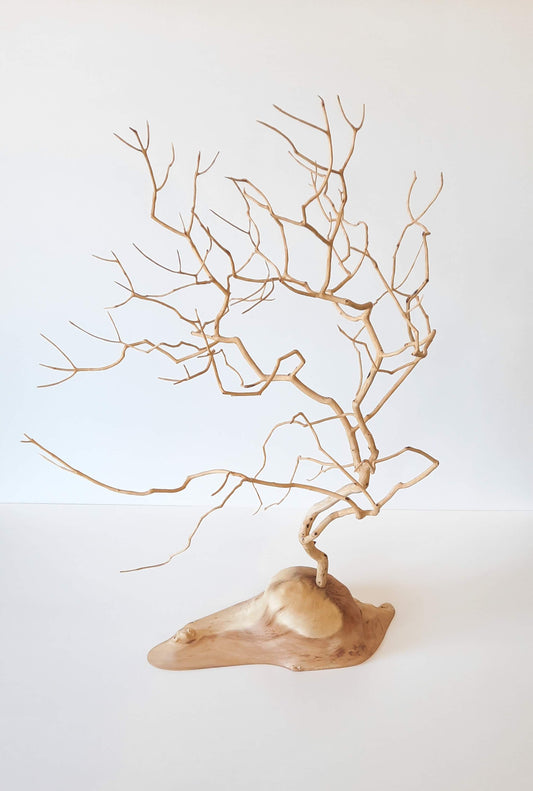 Whittled Lilac Tree - Geoff Kuzara