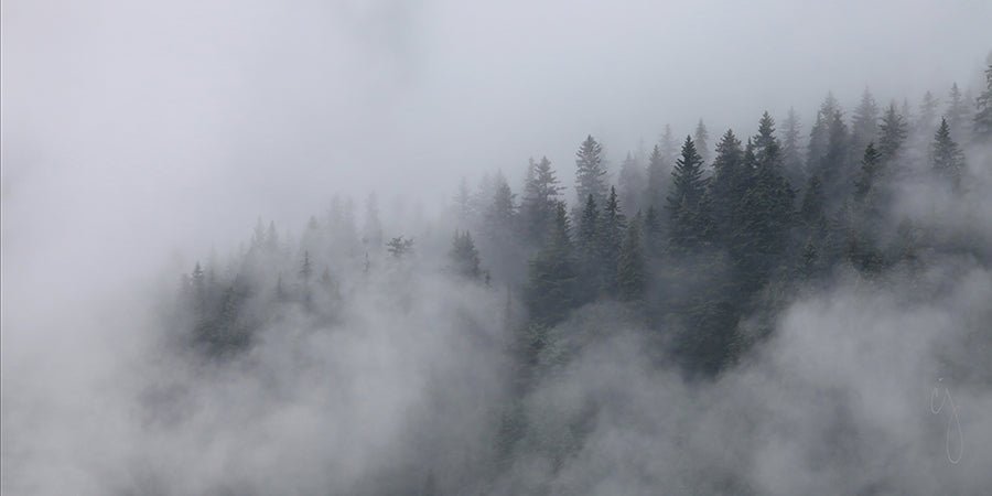 Wrapped in Fog - Chris Johannsen