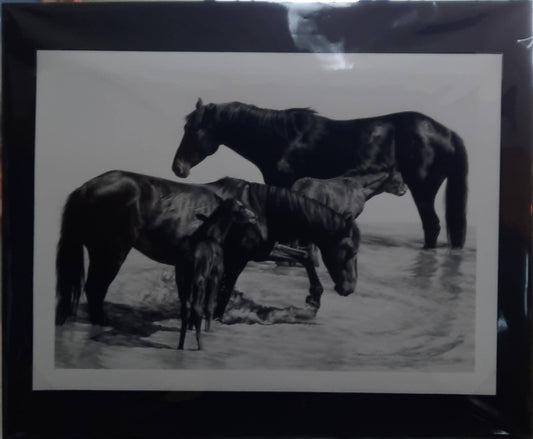 At the Watering Hole - Karmel Timmons