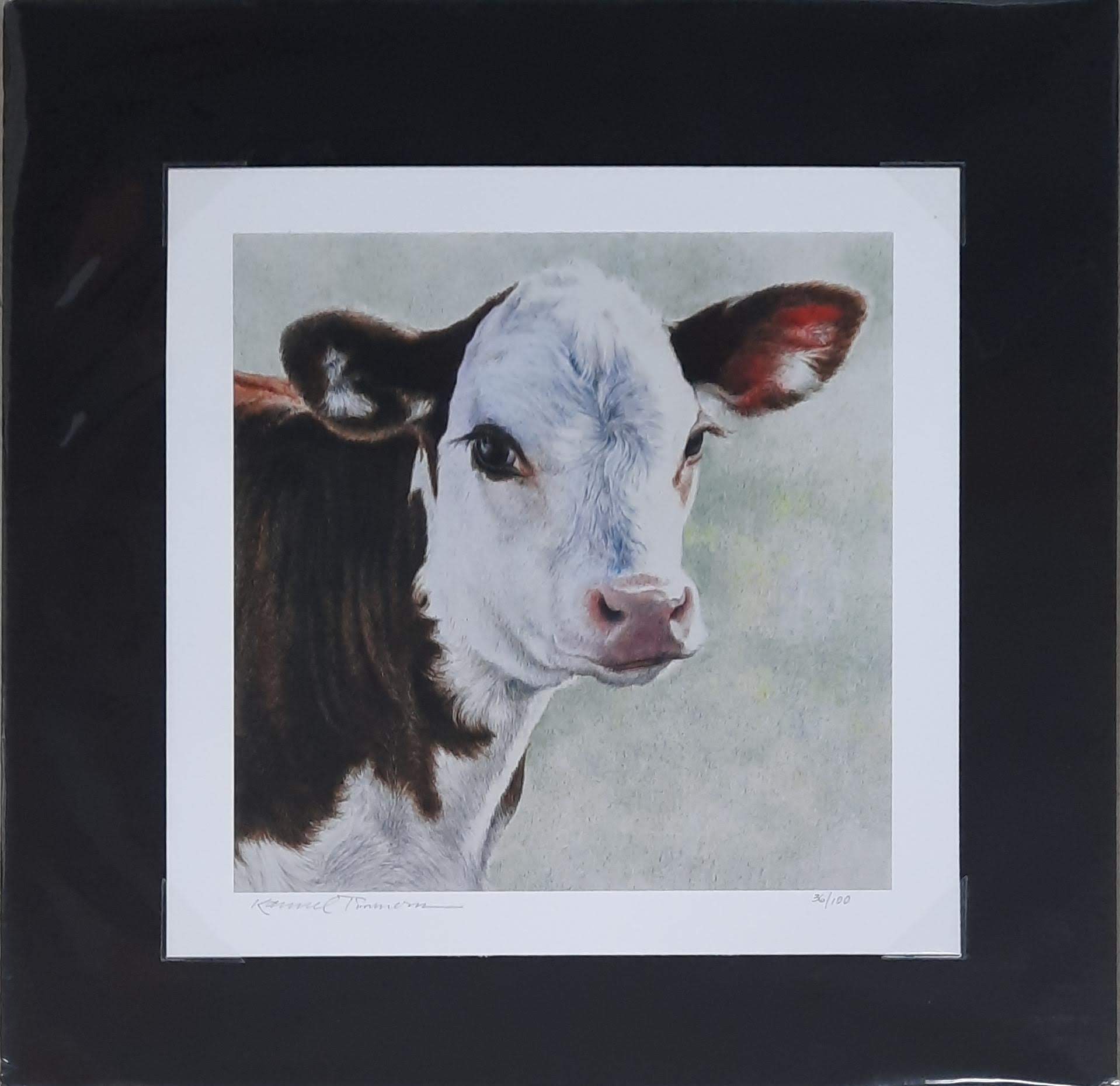 Curious Calf - Karmel Timmons