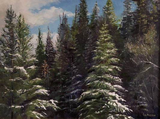 High Country Wilderness - Jan Hodson