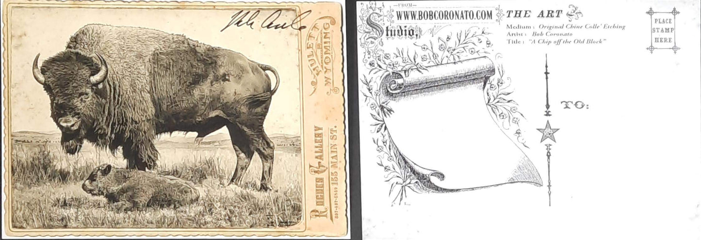 Individual Postcards by Bob Coronato - Bob Coronato