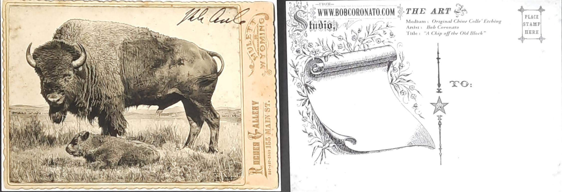 Individual Postcards by Bob Coronato - Bob Coronato