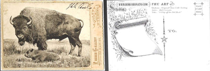 Individual Postcards by Bob Coronato - Bob Coronato
