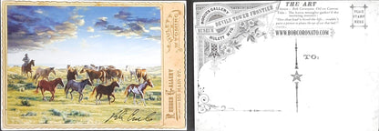 Individual Postcards by Bob Coronato - Bob Coronato
