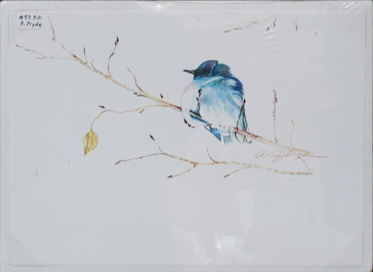 Mountain Blue at 18 Below - Ann Pryde