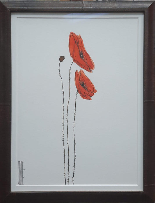 Slanted Poppies - Polly Burge