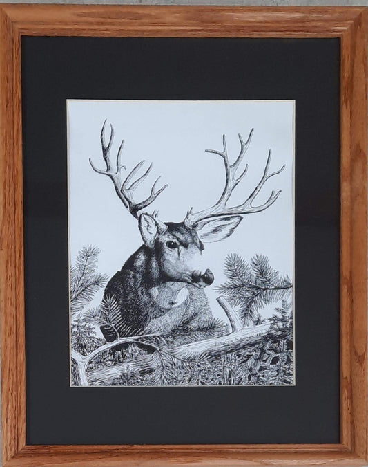 Stag - Rosalyn Kusel