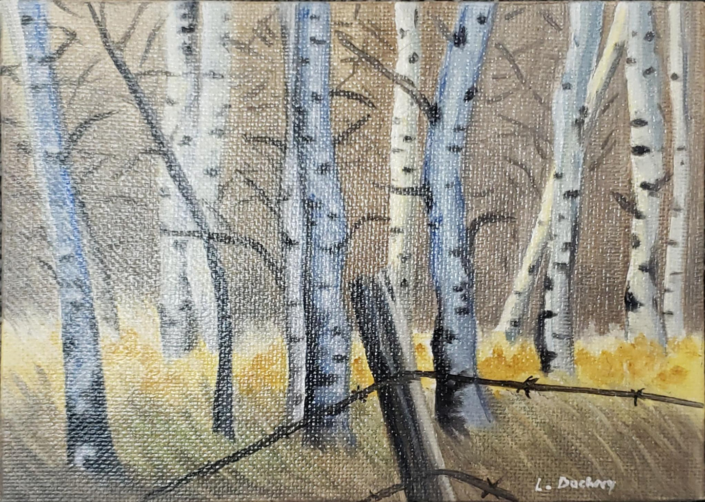 Story Wyoming Aspens at 5,000 ft - Leah Dockery