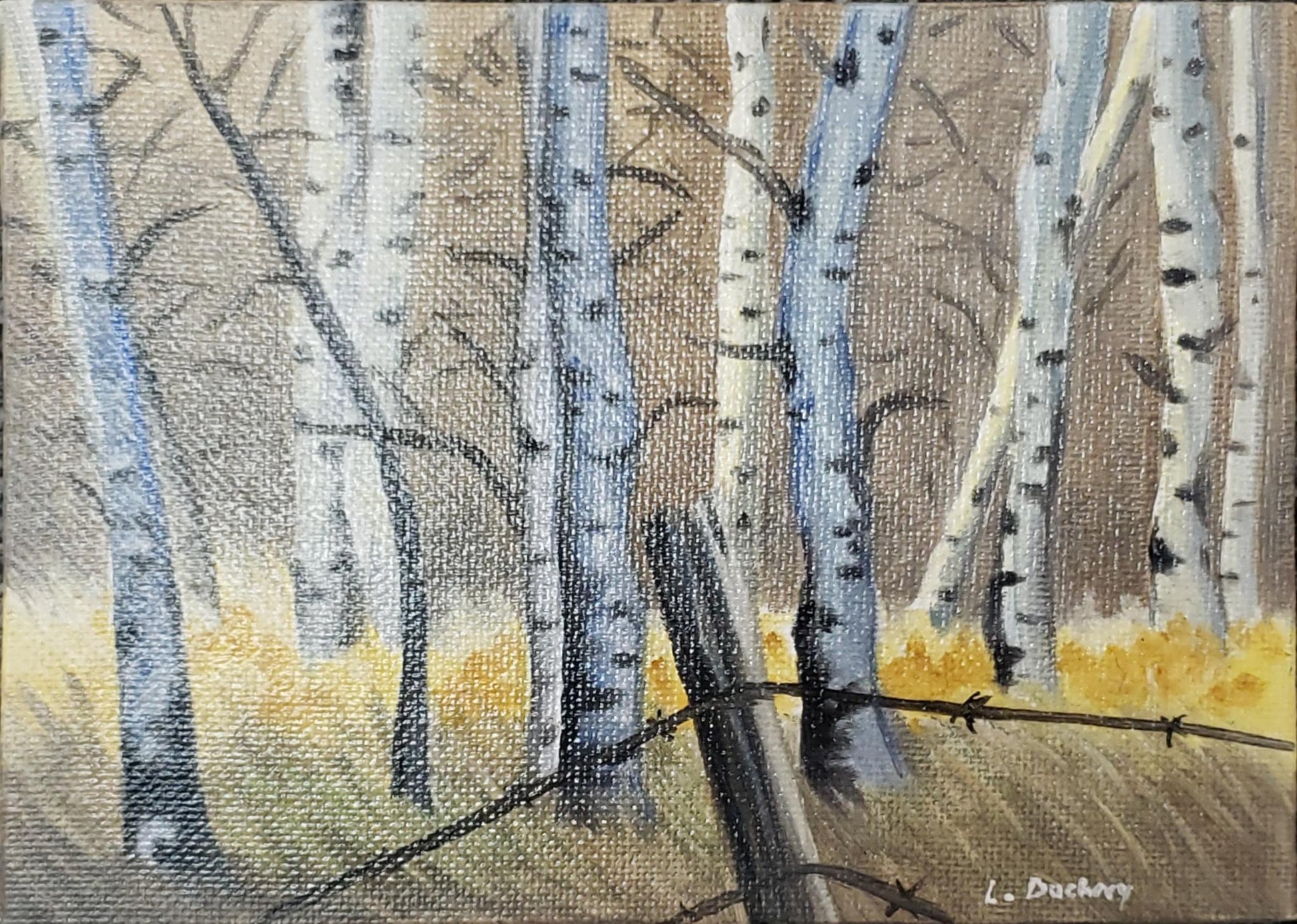 Story Wyoming Aspens at 5,000 ft - Leah Dockery