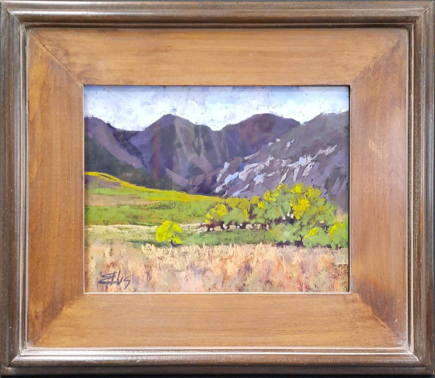 Valley Morning - Patti Ellis