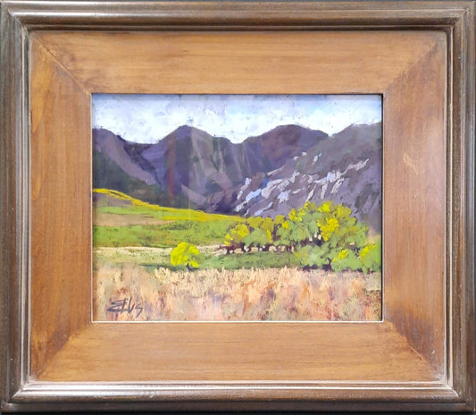 Valley Morning - Patti Ellis