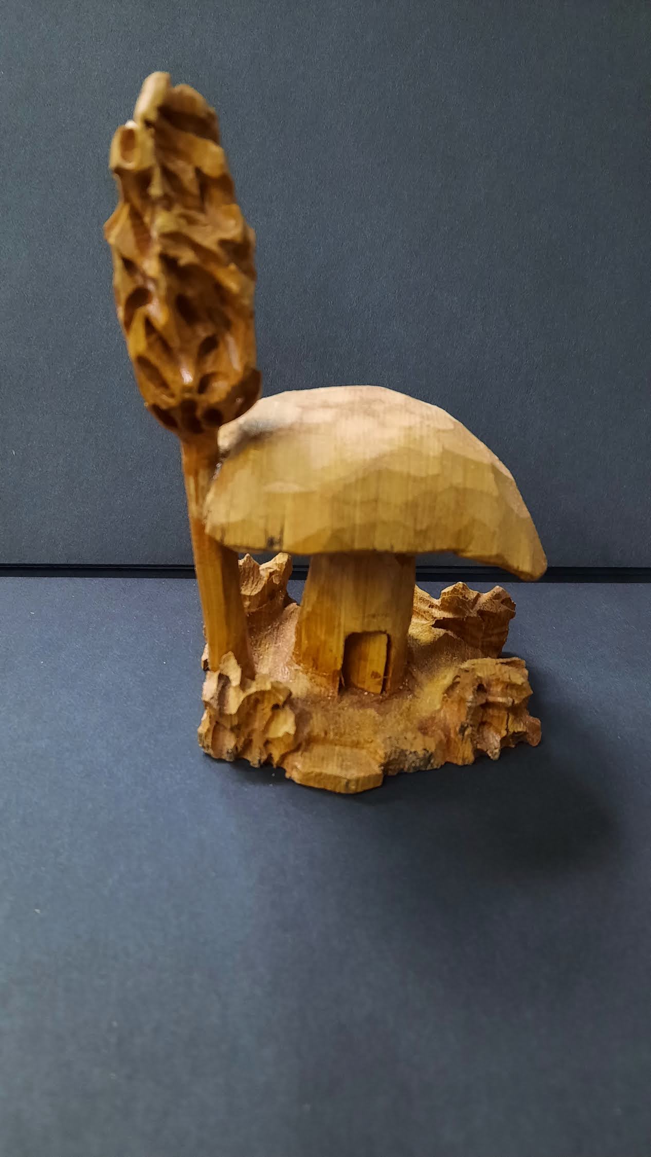Wooden House (large) - Roger Haight